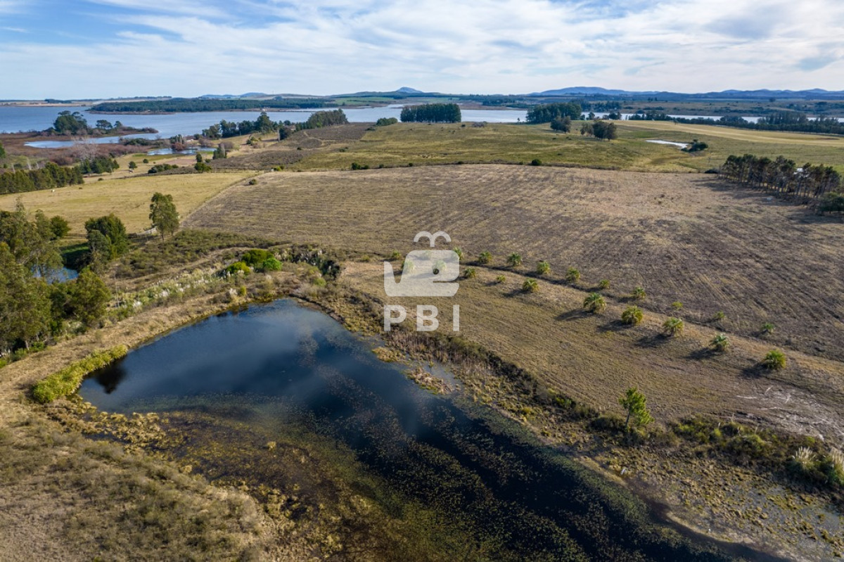 Laguna del Sauce - GoPunta - Portal Inmobiliario de Punta del Este - Maldonado