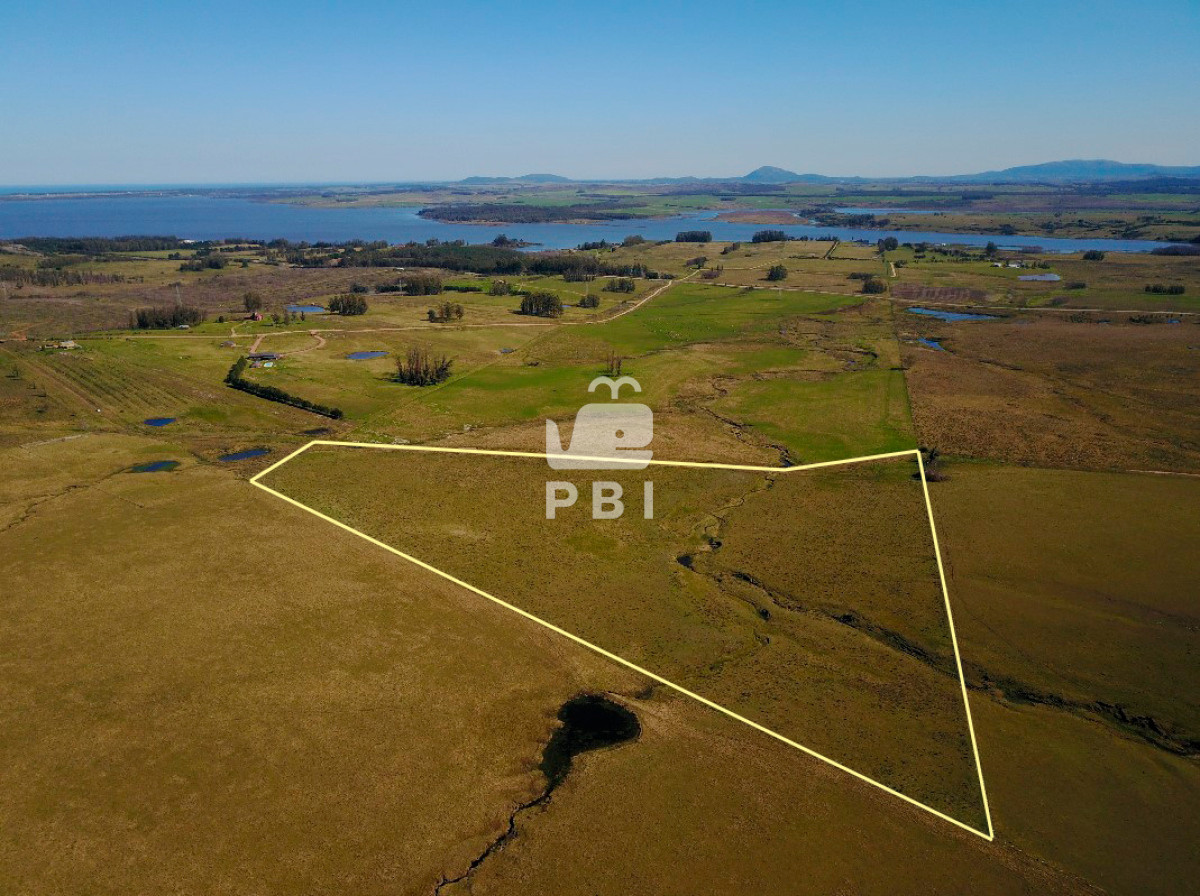 Laguna del Sauce - GoPunta - Portal Inmobiliario de Punta del Este - Maldonado