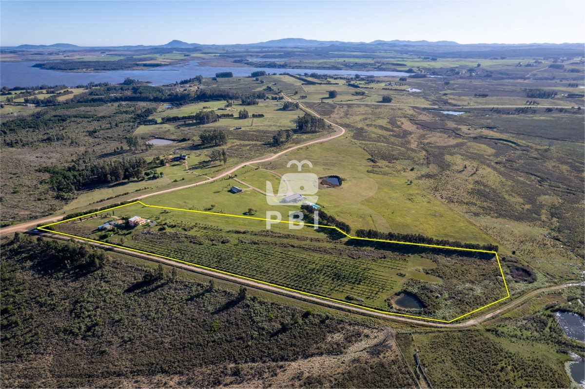 Laguna del Sauce - GoPunta - Portal Inmobiliario de Punta del Este - Maldonado