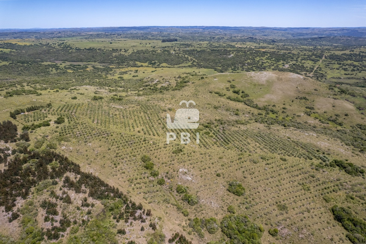 Aiguá - GoPunta - Portal Inmobiliario de Punta del Este - Maldonado