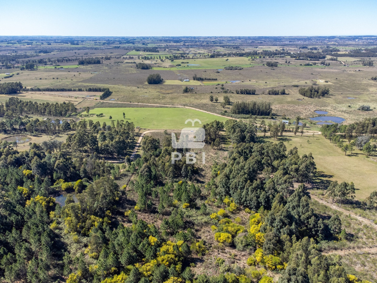 Q2hhY3JhIGRlIDksODUgSGFzIGVuIExhcyBWZXJ0aWVudGVzIC0gUmVmIDogUEJJMTUxNTE=