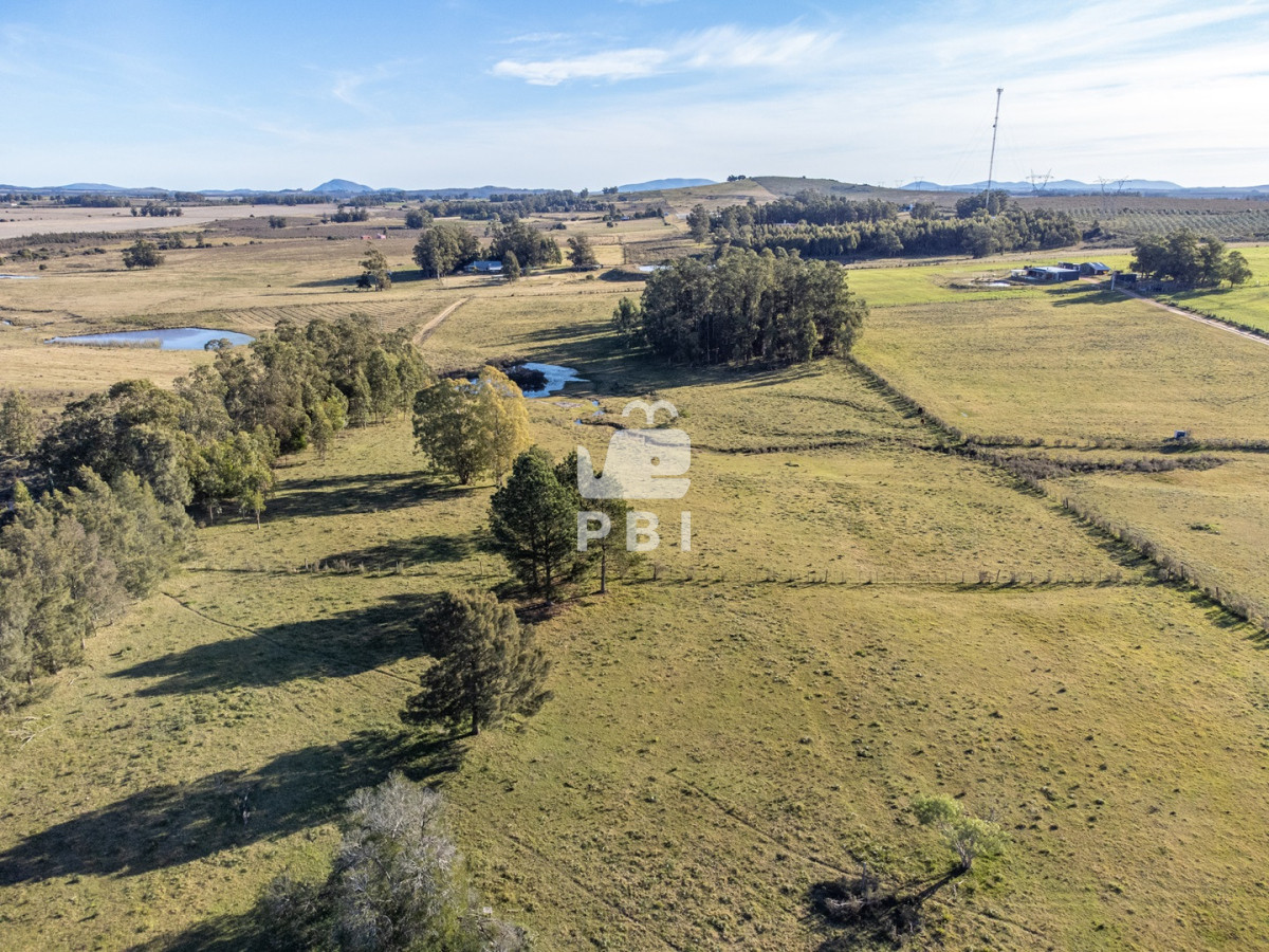 Q2hhY3JhIGRlIDUgSGFzIGVuIEd1YXJkaWEgVmllamEsIFJ1dGEgMTIgLSBSZWYgOiBQQkkxNTA1MA==