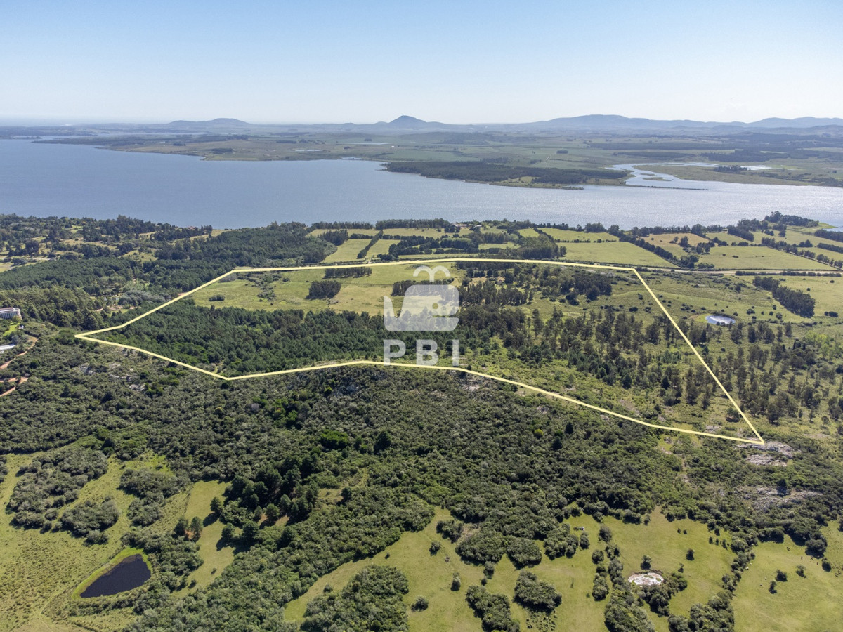 Laguna del Sauce - GoPunta - Portal Inmobiliario de Punta del Este - Maldonado