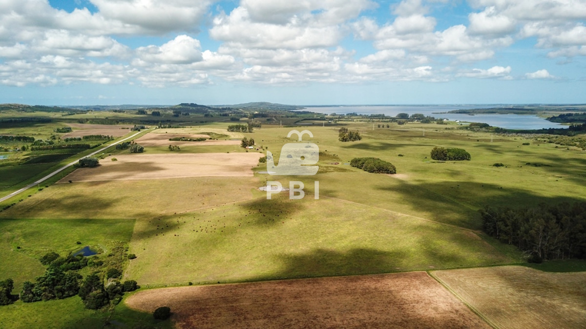 Laguna del Sauce - GoPunta - Portal Inmobiliario de Punta del Este - Maldonado