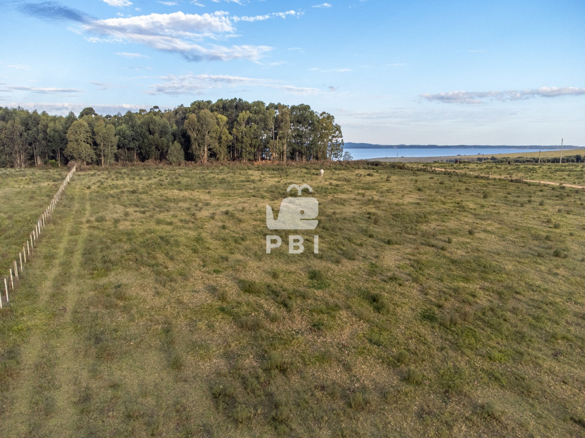 Laguna del Sauce - GoPunta - Portal Inmobiliario de Punta del Este - Maldonado