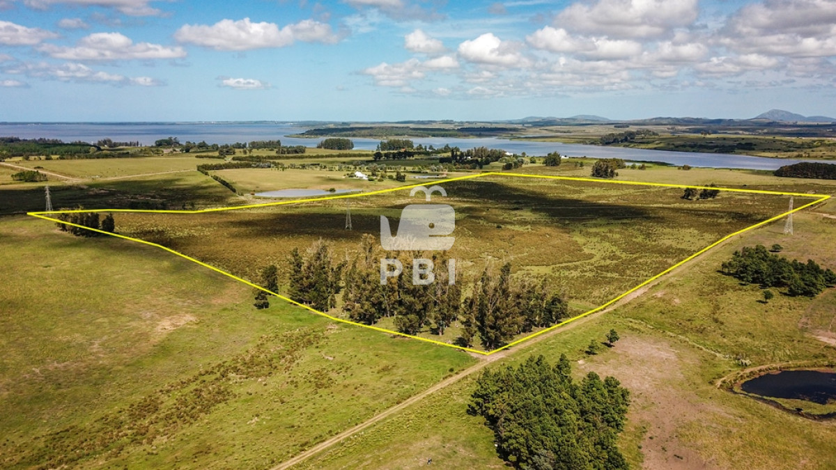 Laguna del Sauce - GoPunta - Portal Inmobiliario de Punta del Este - Maldonado