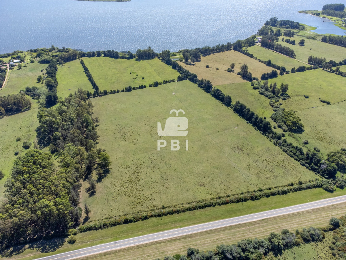 Laguna del Sauce - GoPunta - Portal Inmobiliario de Punta del Este - Maldonado