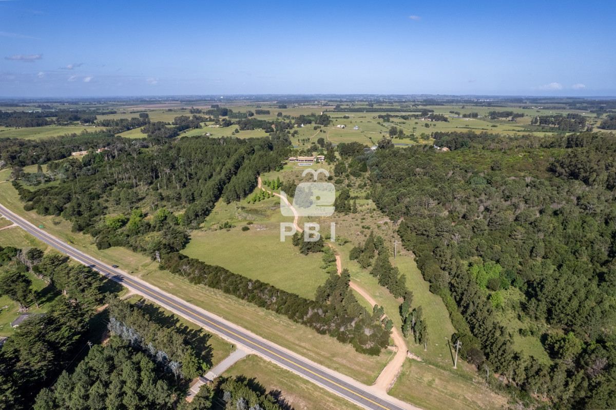 Laguna del Sauce - GoPunta - Portal Inmobiliario de Punta del Este - Maldonado