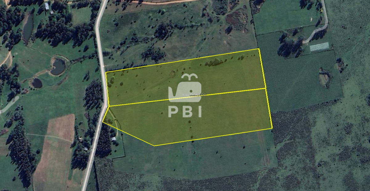 Punta Ballena - GoPunta - Portal Inmobiliario de Punta del Este - Maldonado