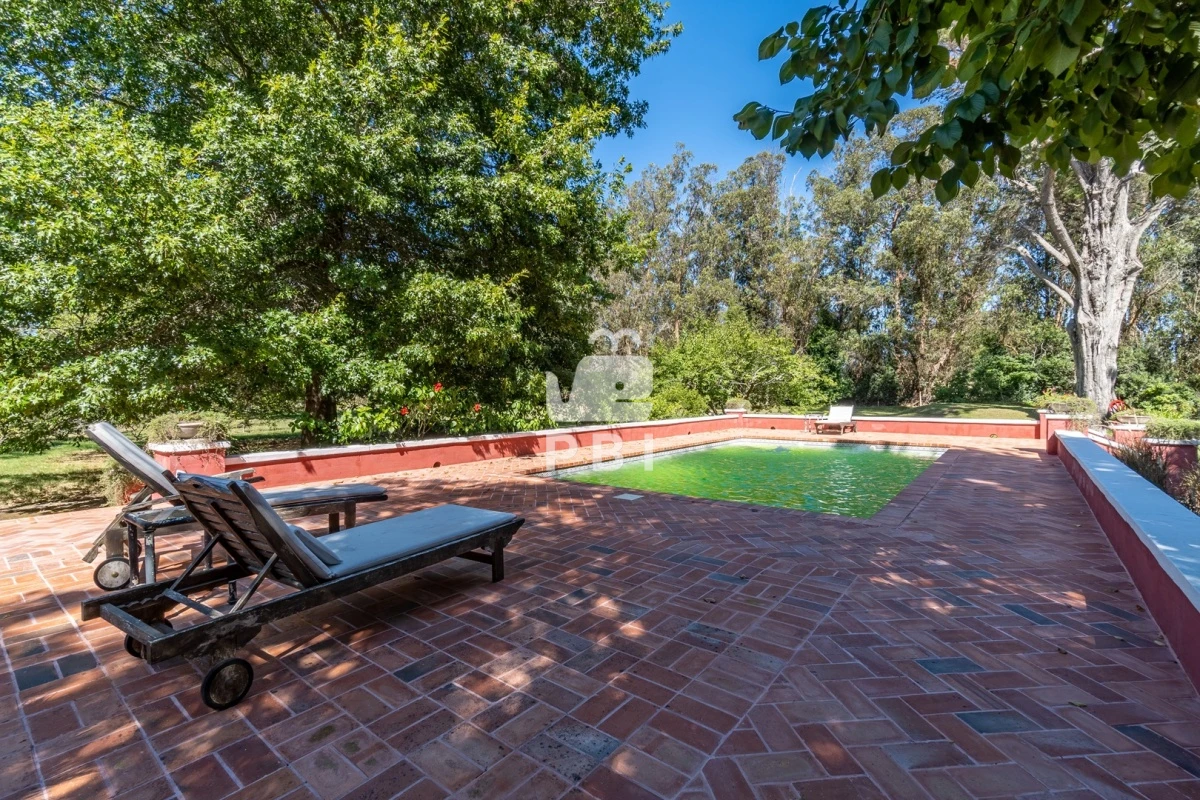 Q2hhY3JhIGVuIENhbWlubyBMdXNzaWNoLCBQdW50YSBCYWxsZW5hIC0gUmVmIDogUEJJMzEwNQ==