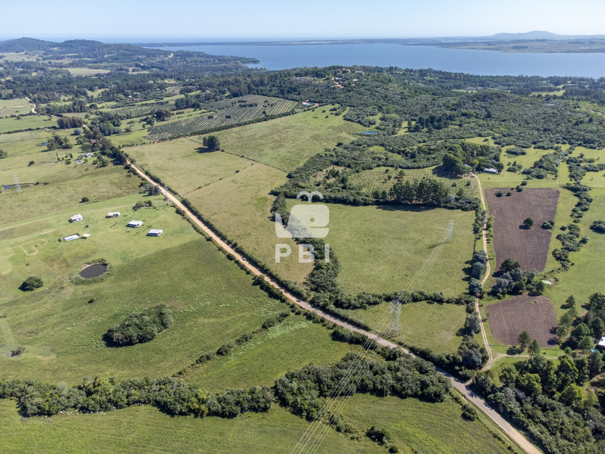 La Pataia - GoPunta - Portal Inmobiliario de Punta del Este - Maldonado