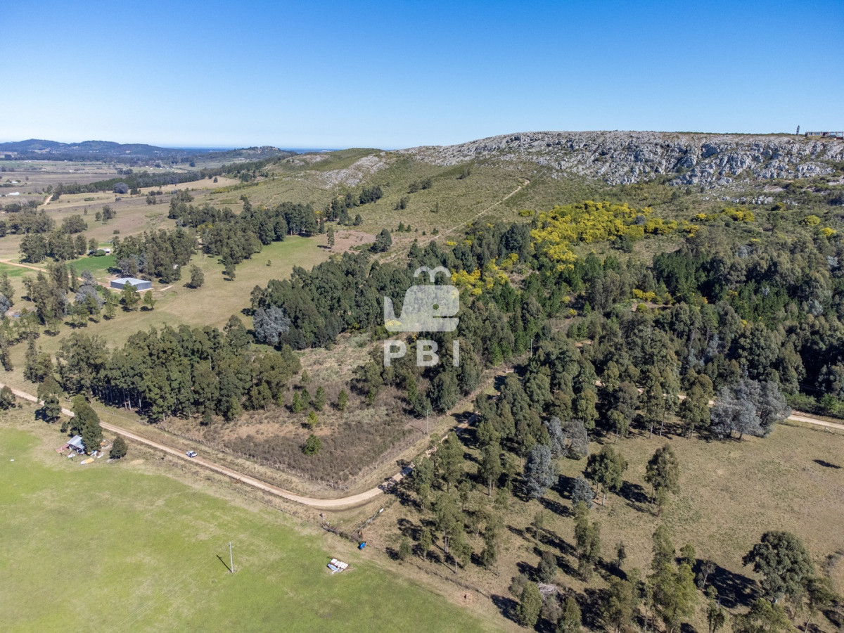 Q2hhY3JhIGRlIDksODUgSGFzIGVuIExhcyBWZXJ0aWVudGVzIC0gUmVmIDogUEJJMTUxNTE=