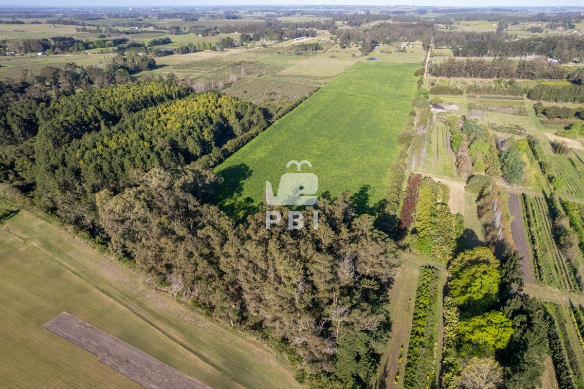 Q2hhY3JhIGVuIExhIFBhdGFpYSwgUHVudGEgQmFsbGVuYSAtIFJlZiA6IFBCSTEyOTQw