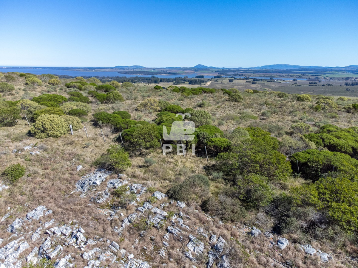 Q2hhY3JhIGRlIDksODUgSGFzIGVuIExhcyBWZXJ0aWVudGVzIC0gUmVmIDogUEJJMTUxNTE=