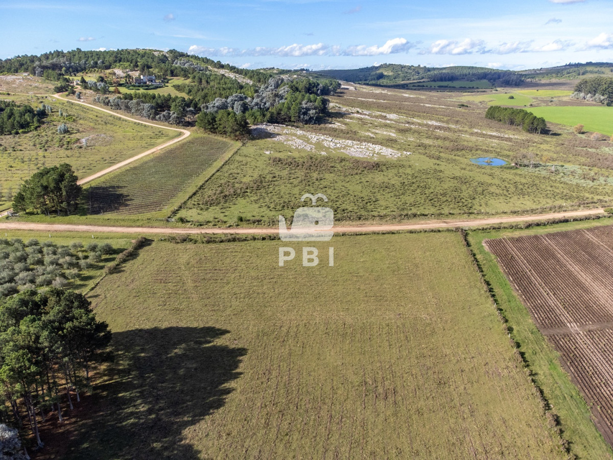 Q2hhY3JhIGVuIHZlbnRhIGVuIExhZ3VuYSBkZWwgU2F1Y2UsIFB1bnRhIEJhbGxlbmEgIC0gUmVmIDogUEJJMTQ3NjA=