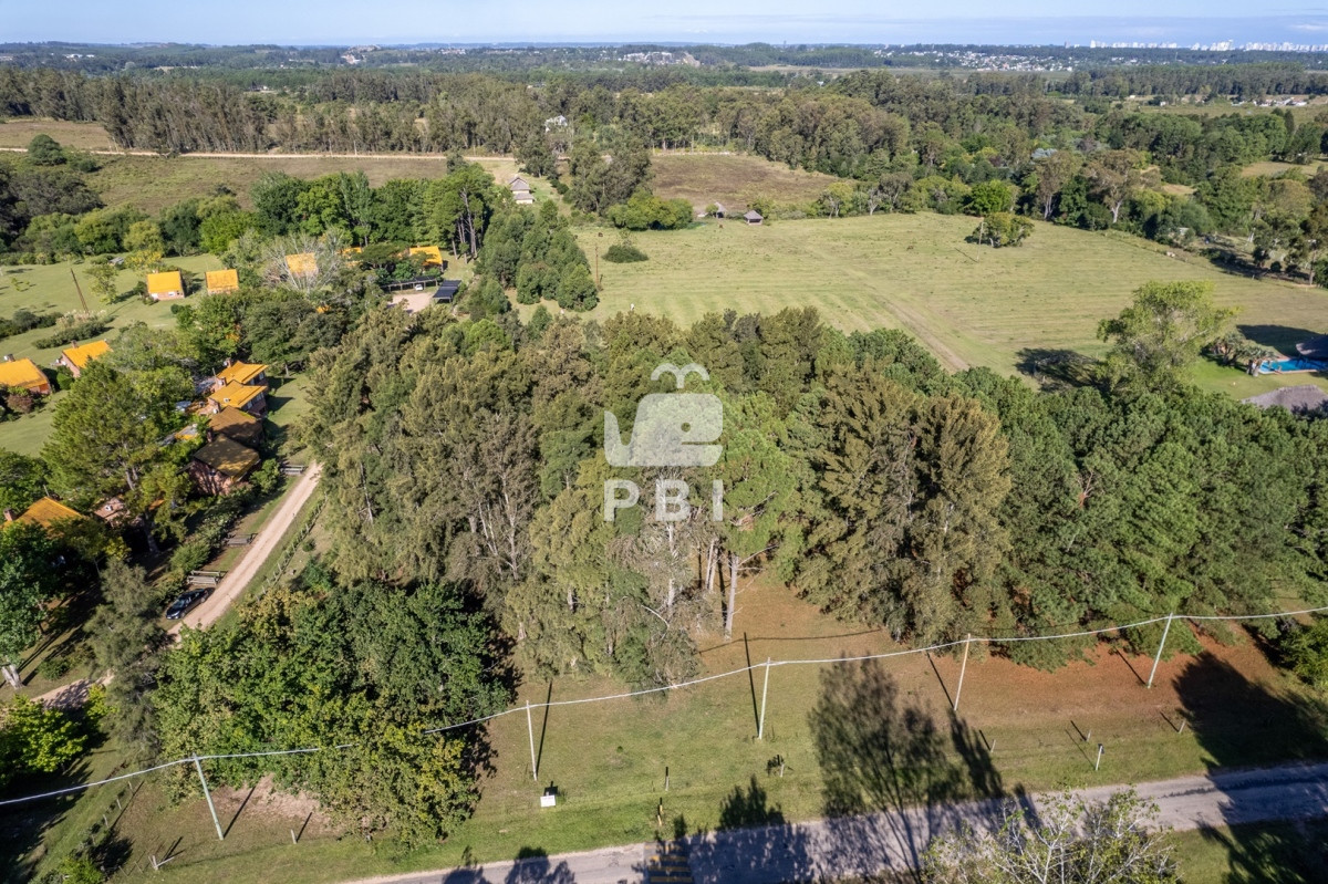 Camino Lussich - GoPunta - Portal Inmobiliario de Punta del Este - Maldonado