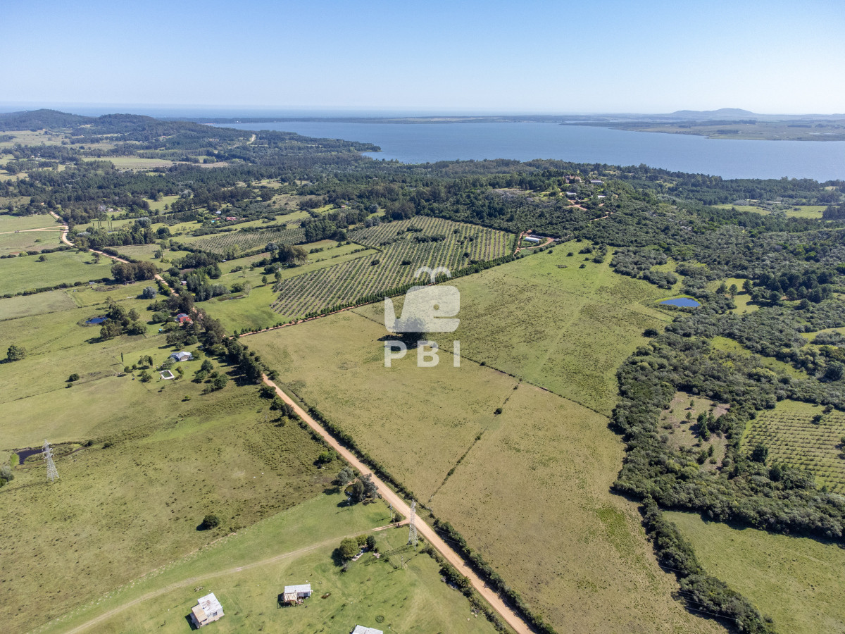 La Pataia - GoPunta - Portal Inmobiliario de Punta del Este - Maldonado
