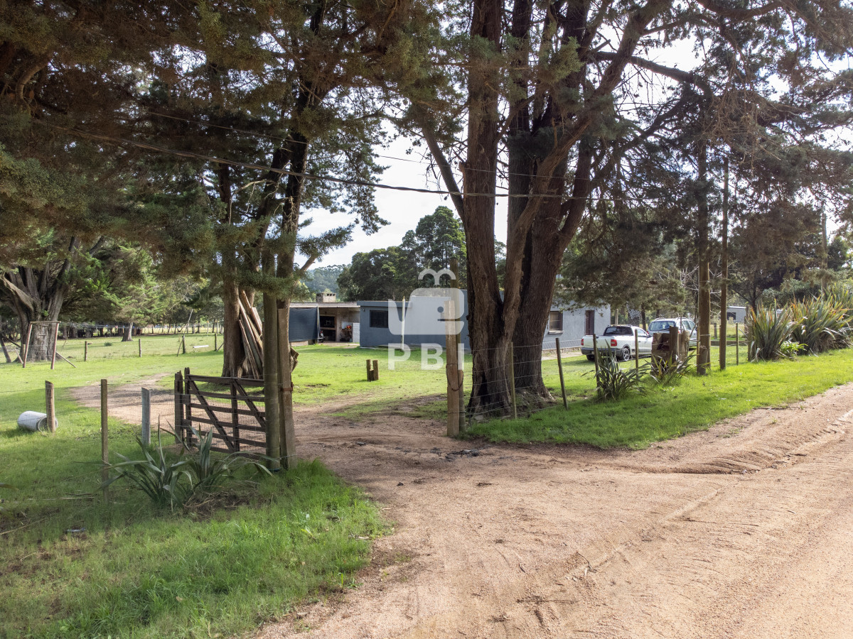 Maldonado - GoPunta - Portal Inmobiliario de Punta del Este - Maldonado