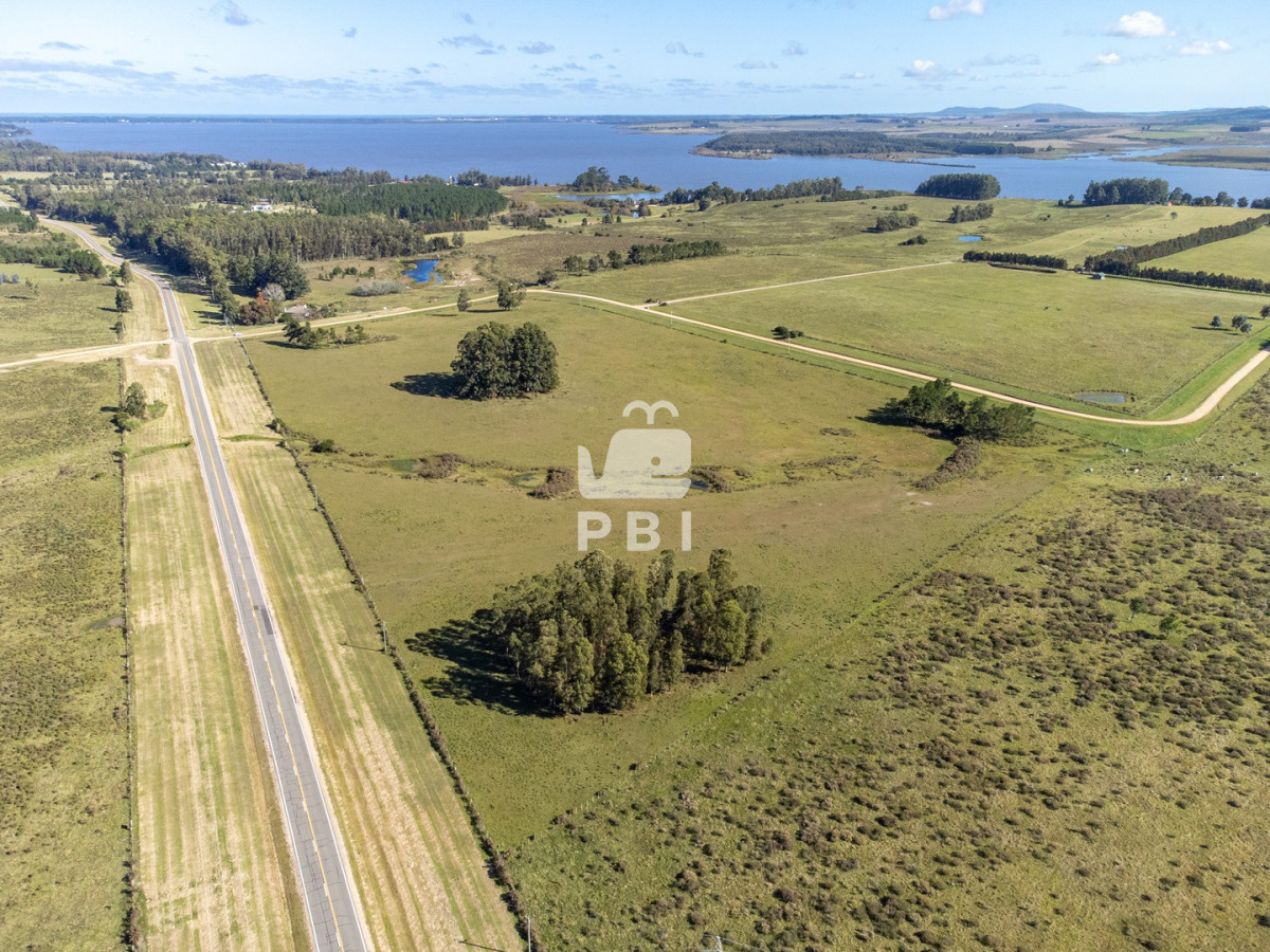 Laguna del Sauce - GoPunta - Portal Inmobiliario de Punta del Este - Maldonado