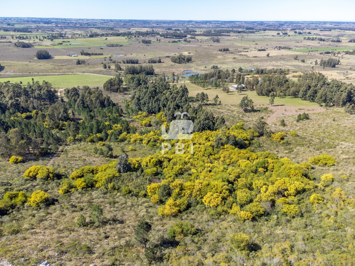 Q2hhY3JhIGRlIDksODUgSGFzIGVuIExhcyBWZXJ0aWVudGVzIC0gUmVmIDogUEJJMTUxNTE=