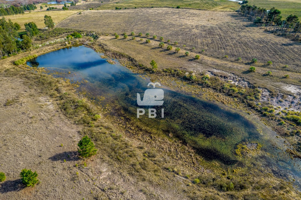 Laguna del Sauce - GoPunta - Portal Inmobiliario de Punta del Este - Maldonado