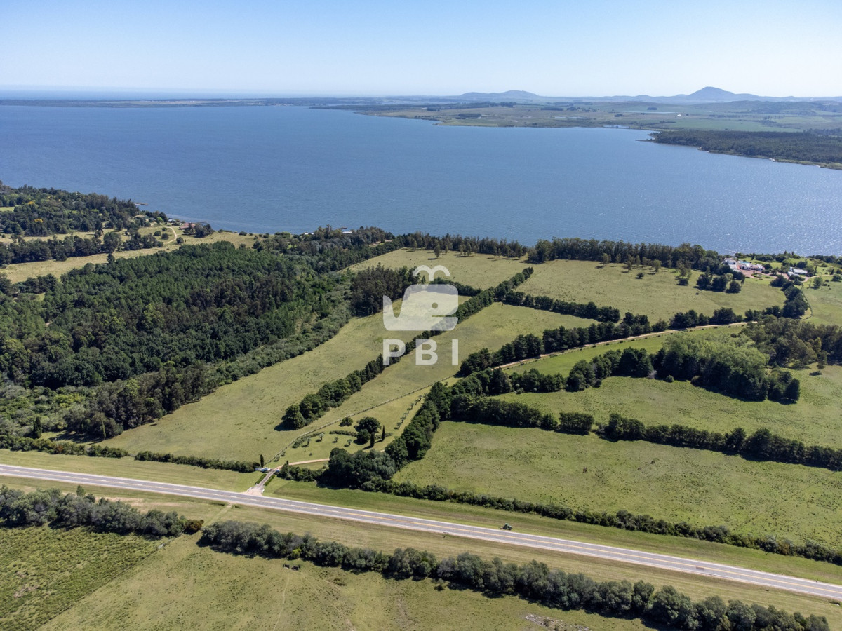 Laguna del Sauce - GoPunta - Portal Inmobiliario de Punta del Este - Maldonado