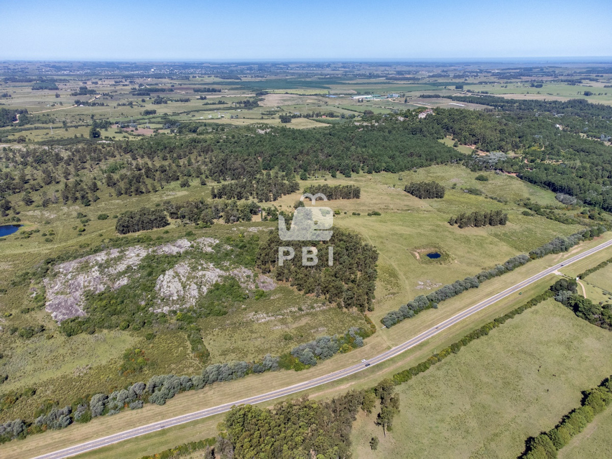 Laguna del Sauce - GoPunta - Portal Inmobiliario de Punta del Este - Maldonado