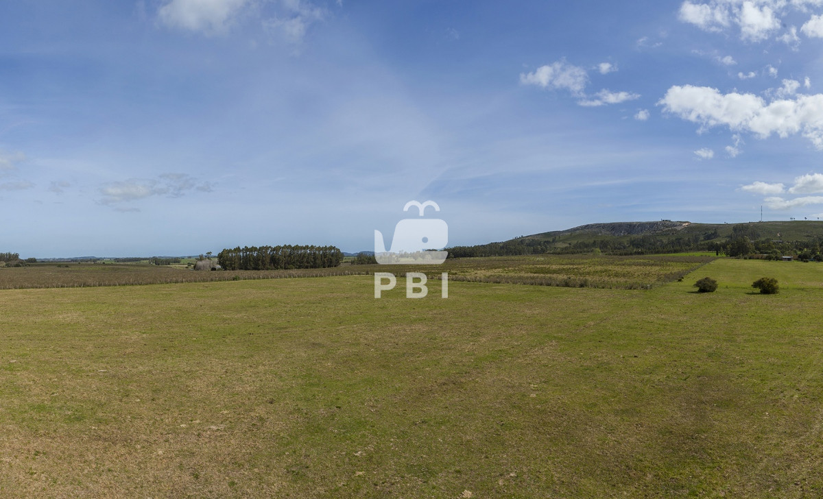Punta Ballena - GoPunta - Portal Inmobiliario de Punta del Este - Maldonado
