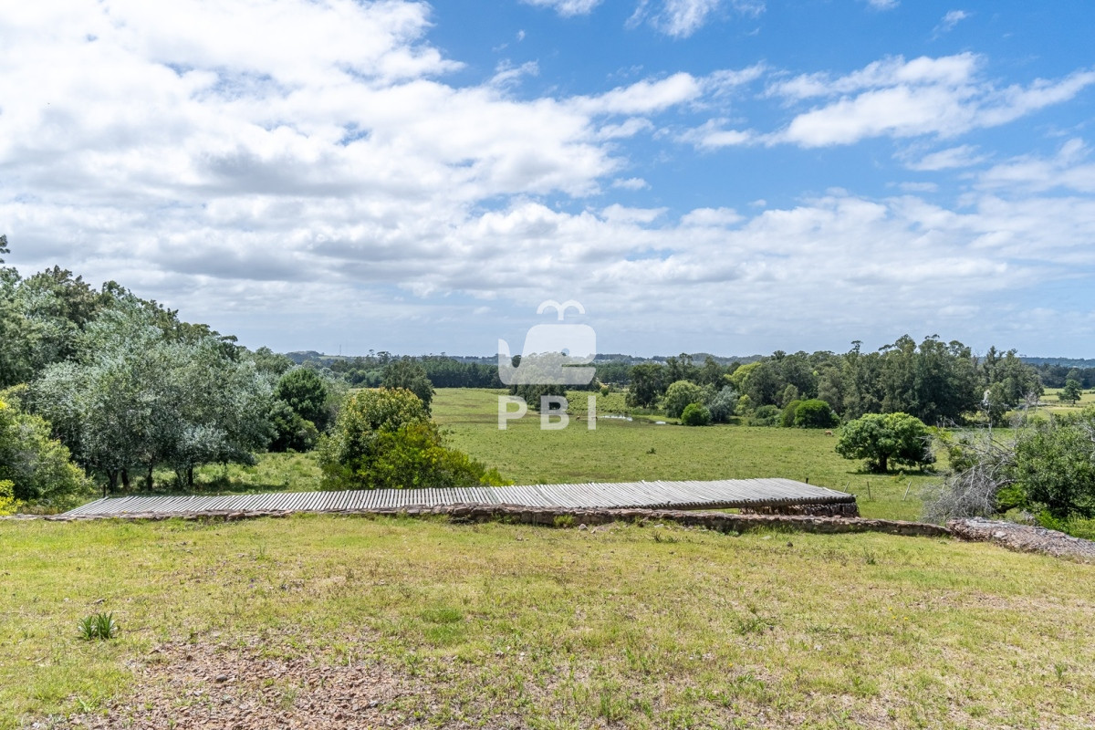 Punta Ballena - GoPunta - Portal Inmobiliario de Punta del Este - Maldonado