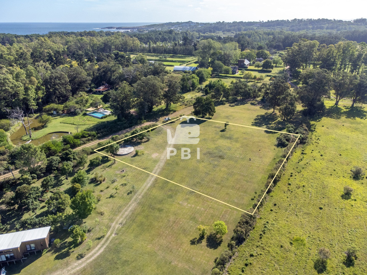 VGVycmVubyBlbiB2ZW50YSBlbiBQdW50YSBCYWxsZW5hIC0gUmVmIDogUEJJMTU1NTQ=