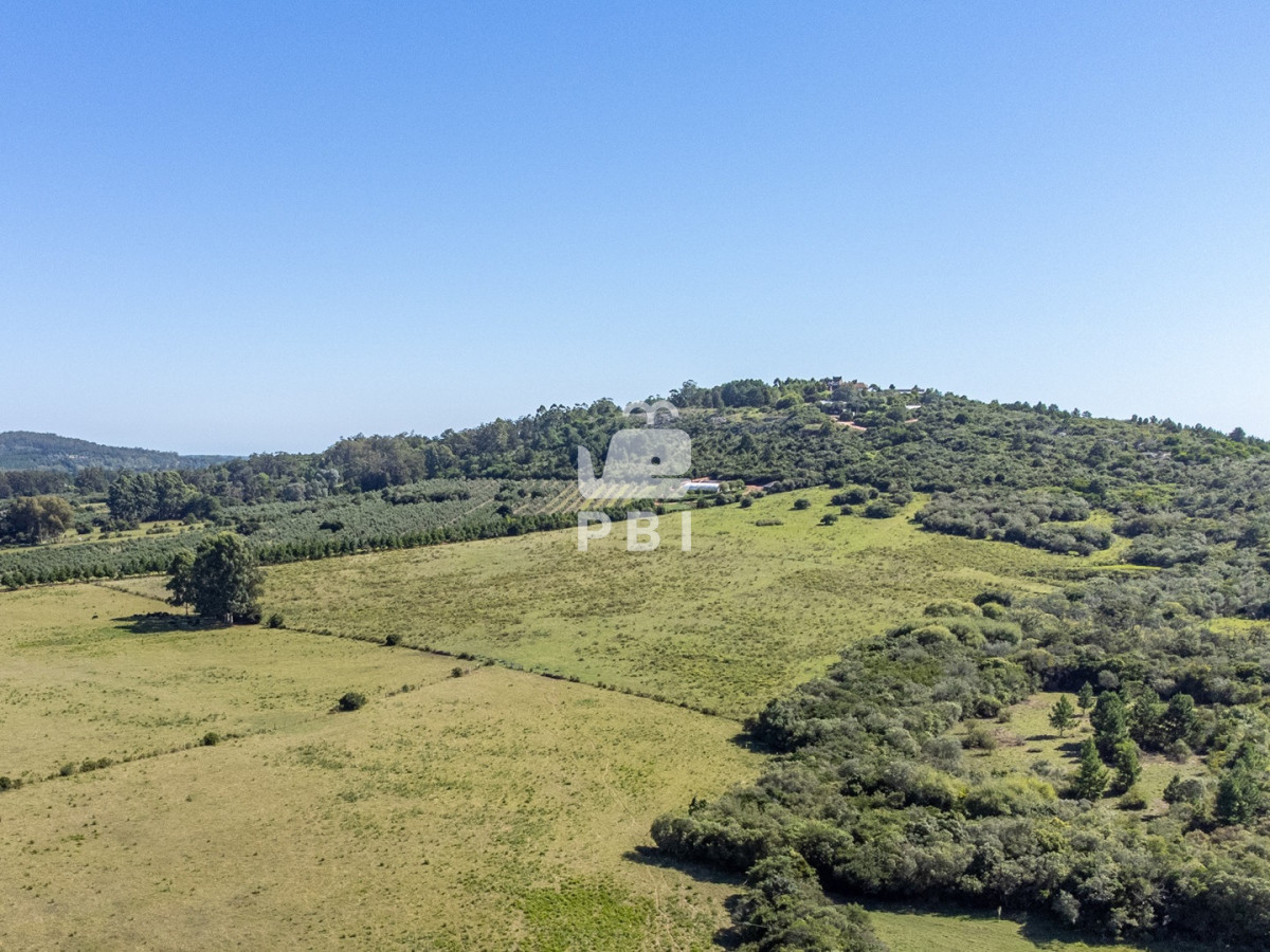 La Pataia - GoPunta - Portal Inmobiliario de Punta del Este - Maldonado