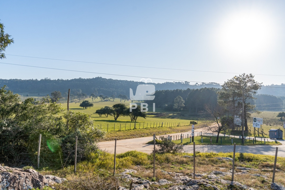 La Pataia - GoPunta - Portal Inmobiliario de Punta del Este - Maldonado