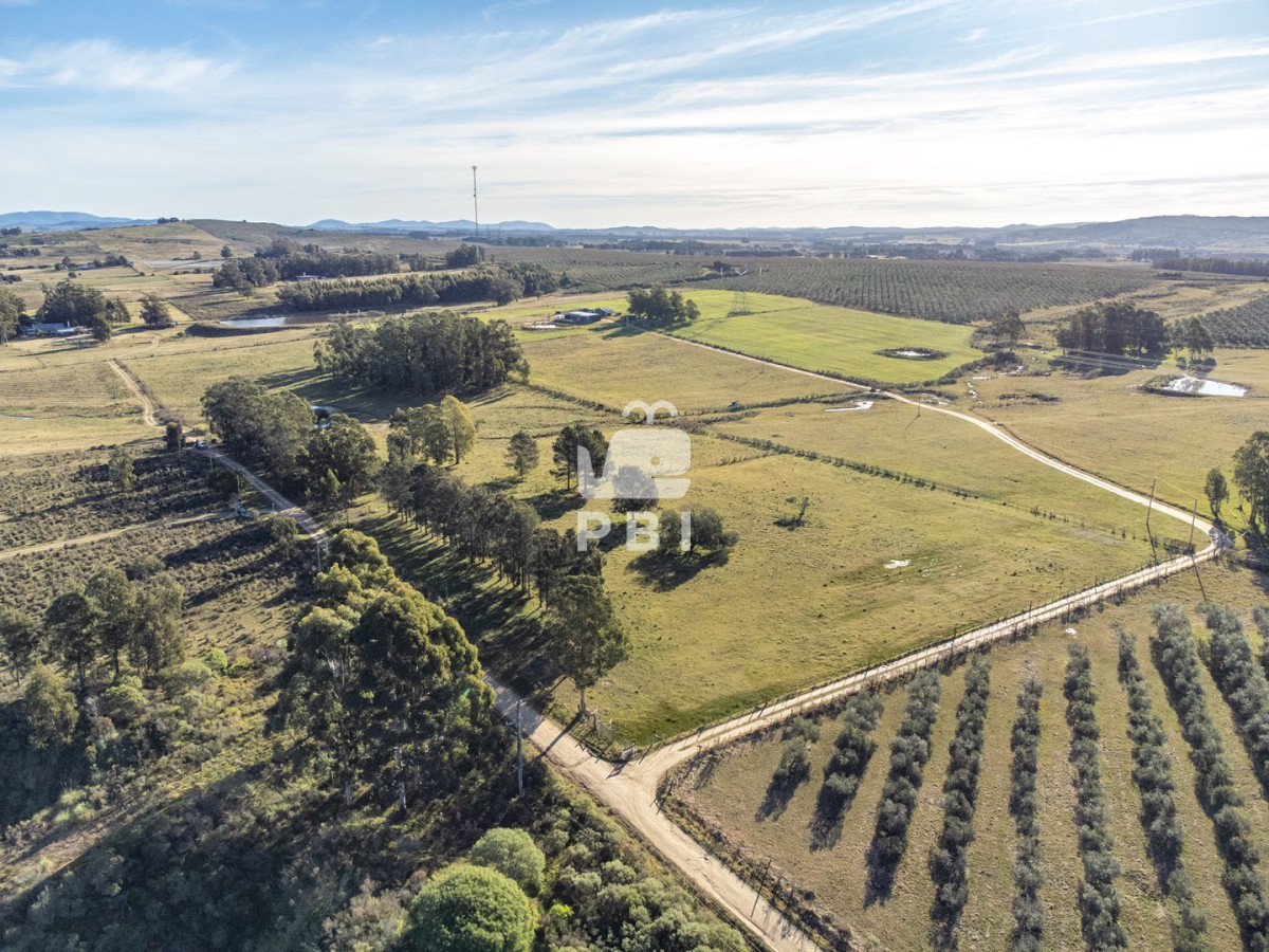 Q2hhY3JhIGRlIDUgSGFzIGVuIEd1YXJkaWEgVmllamEsIFJ1dGEgMTIgLSBSZWYgOiBQQkkxNTA1MA==