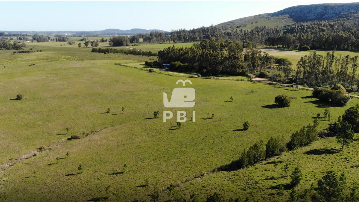 Punta Ballena - GoPunta - Portal Inmobiliario de Punta del Este - Maldonado
