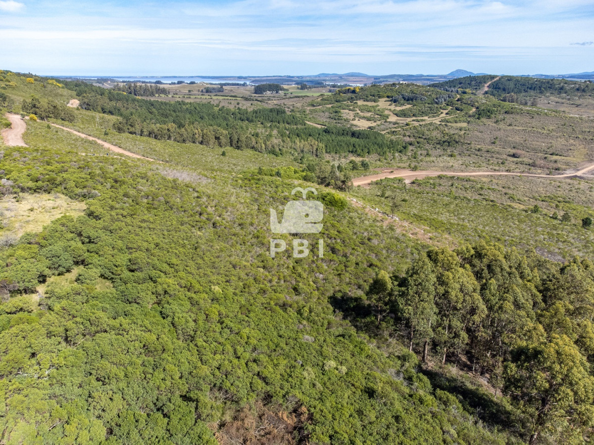 Abra de Perdomo - GoPunta - Portal Inmobiliario de Punta del Este - Maldonado