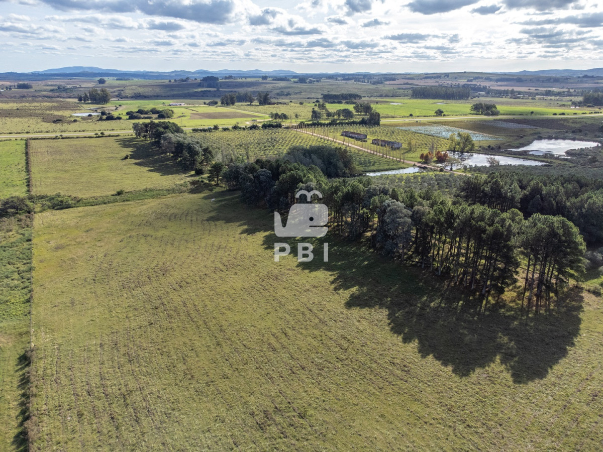 Laguna del Sauce - GoPunta - Portal Inmobiliario de Punta del Este - Maldonado