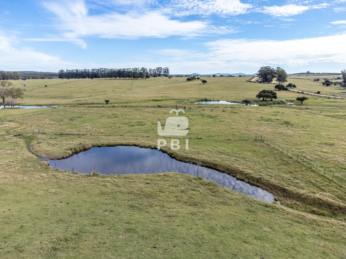 Maldonado - GoPunta - Portal Inmobiliario de Punta del Este - Maldonado