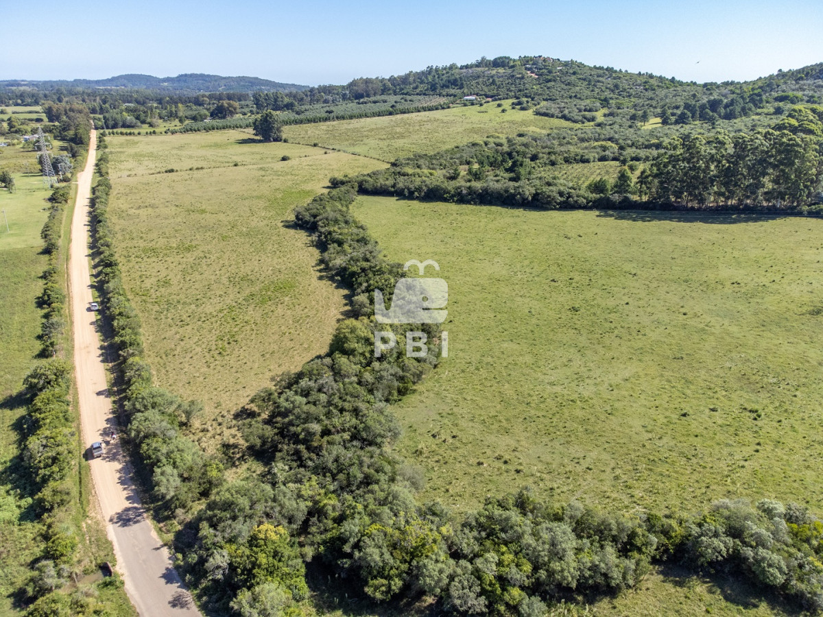 La Pataia - GoPunta - Portal Inmobiliario de Punta del Este - Maldonado