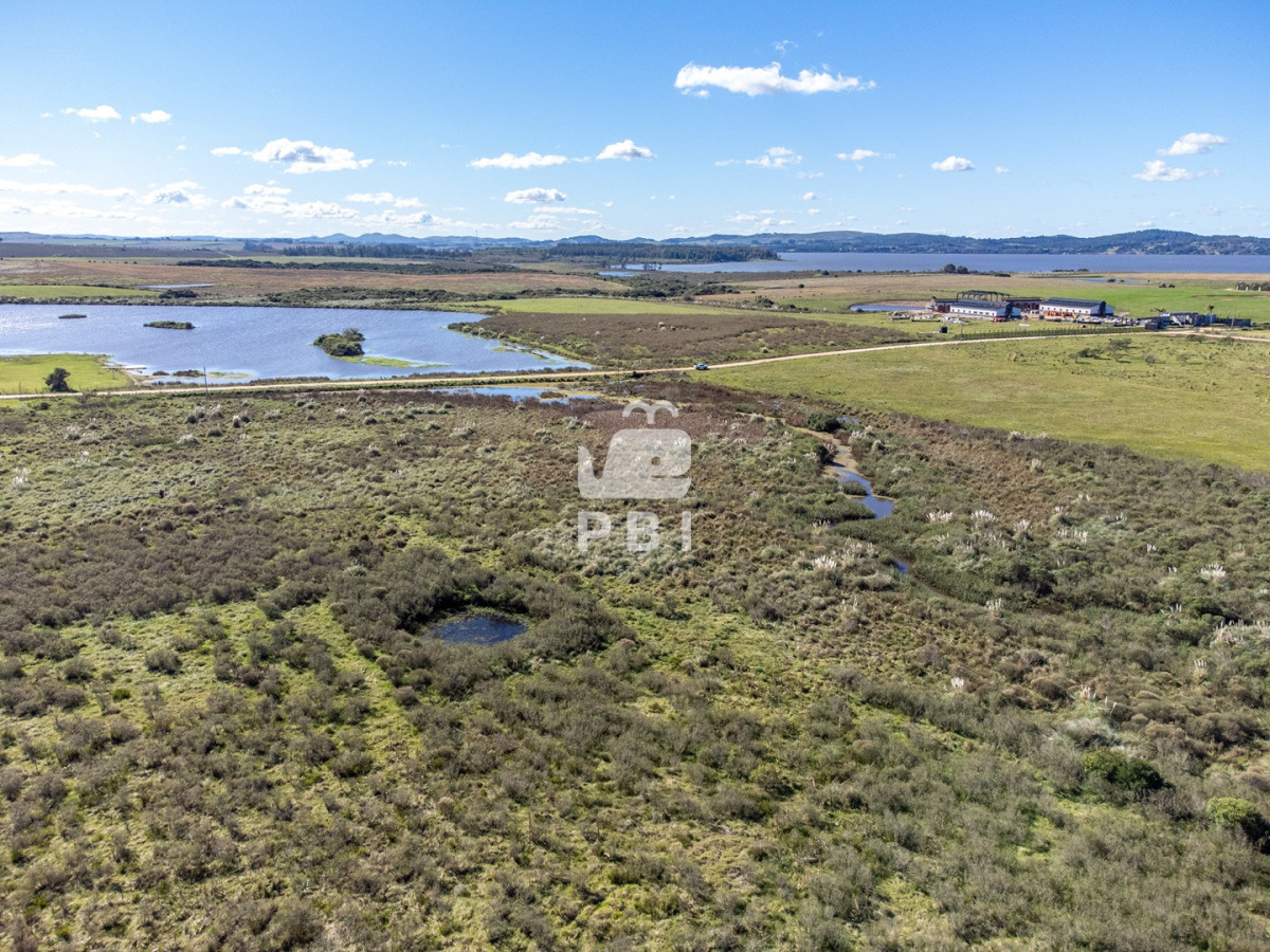 Laguna del Sauce - GoPunta - Portal Inmobiliario de Punta del Este - Maldonado