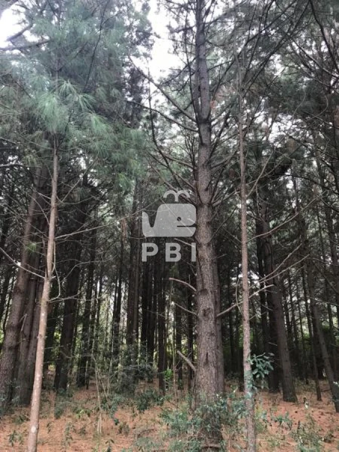 Q2hhY3JhIGVuIHZlbnRhIFB1bnRhIEJhbGxlbmEgIC0gUmVmIDogUEJJMTM0NA==