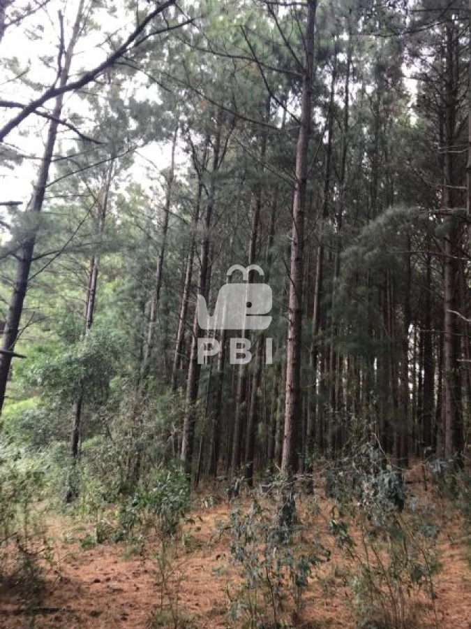 Q2hhY3JhIGVuIHZlbnRhIFB1bnRhIEJhbGxlbmEgIC0gUmVmIDogUEJJMTM0NA==