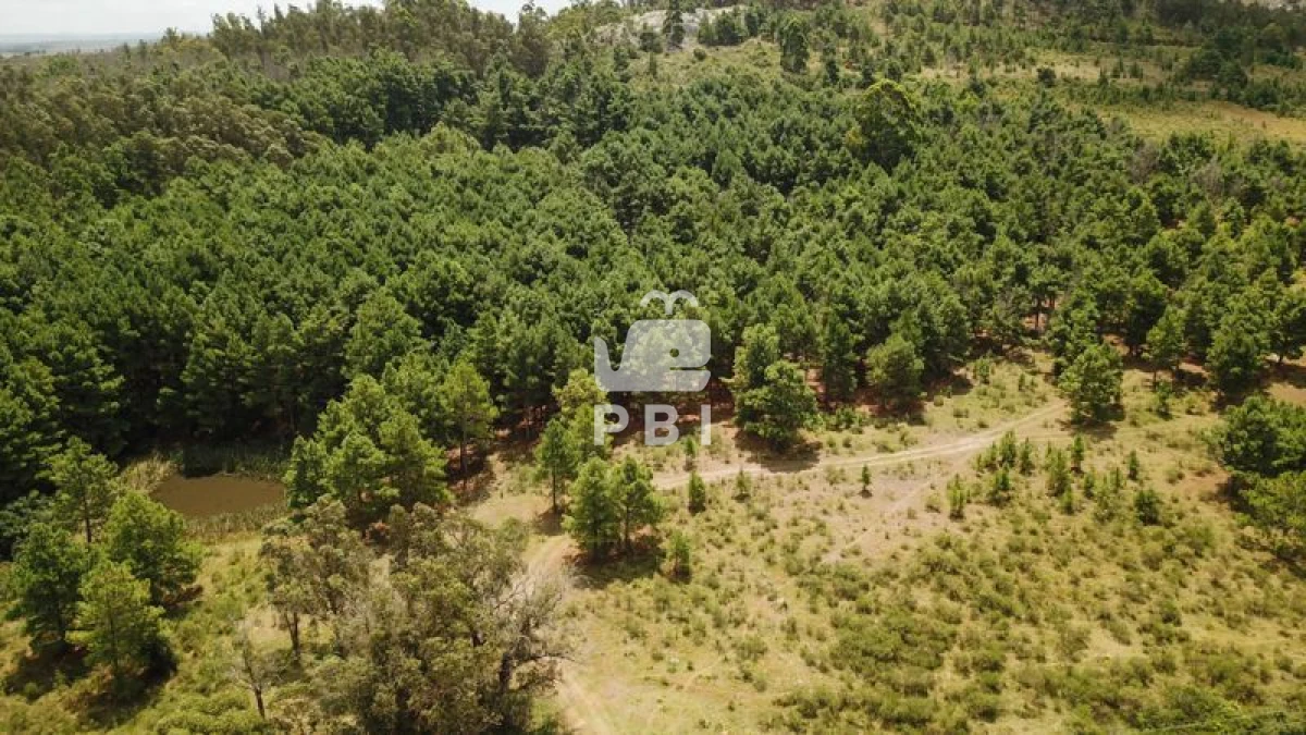 Q2hhY3JhIGVuIHZlbnRhIFB1bnRhIEJhbGxlbmEgIC0gUmVmIDogUEJJMTM0NA==