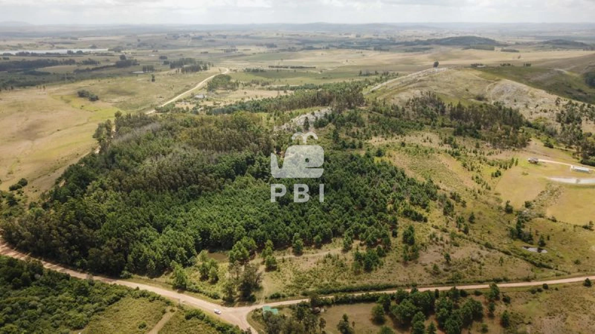 Q2hhY3JhIGVuIHZlbnRhIFB1bnRhIEJhbGxlbmEgIC0gUmVmIDogUEJJMTM0NA==