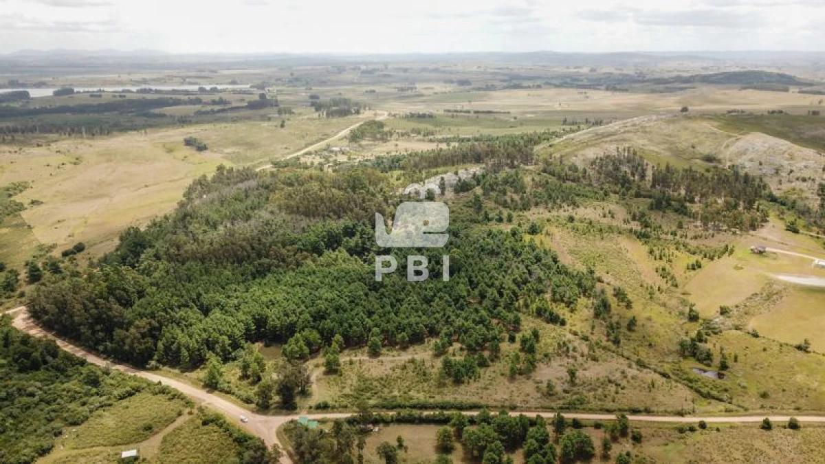 Q2hhY3JhIGVuIHZlbnRhIFB1bnRhIEJhbGxlbmEgIC0gUmVmIDogUEJJMTM0NA==