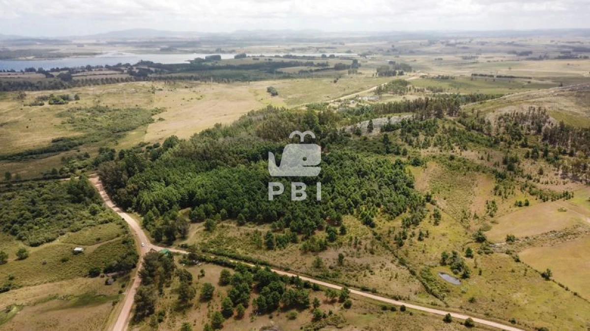 Q2hhY3JhIGVuIHZlbnRhIFB1bnRhIEJhbGxlbmEgIC0gUmVmIDogUEJJMTM0NA==