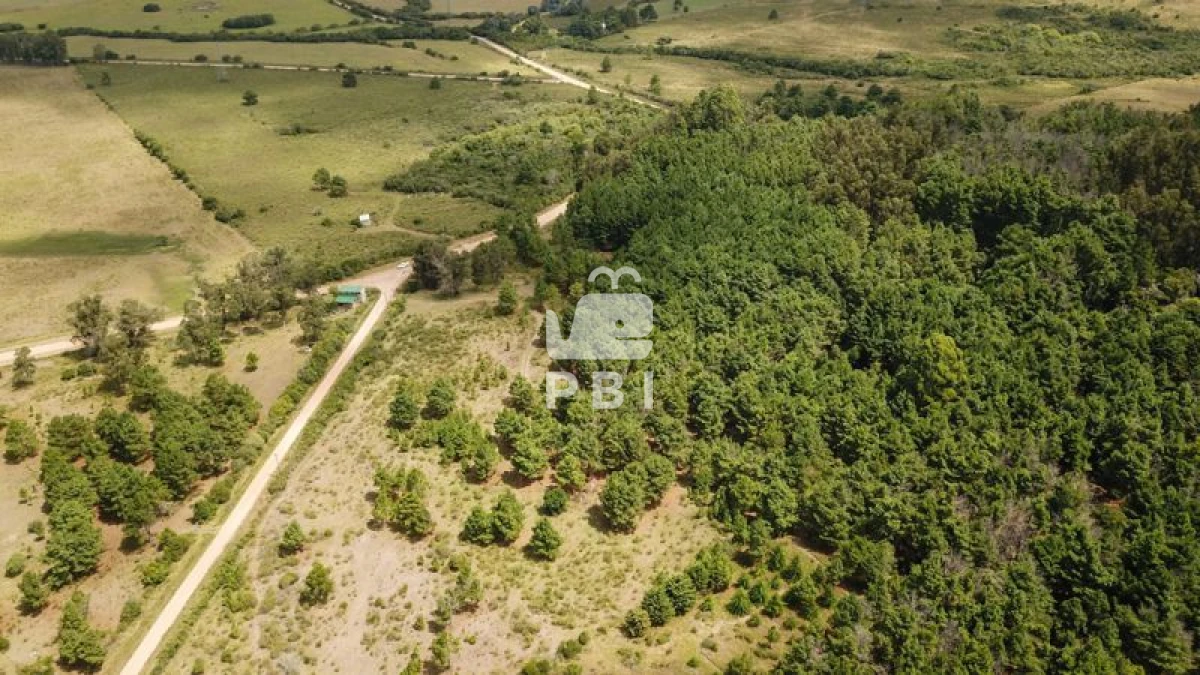 Q2hhY3JhIGVuIHZlbnRhIFB1bnRhIEJhbGxlbmEgIC0gUmVmIDogUEJJMTM0NA==