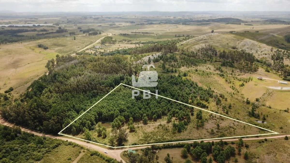 Q2hhY3JhIGVuIHZlbnRhIFB1bnRhIEJhbGxlbmEgIC0gUmVmIDogUEJJMTM0NA==