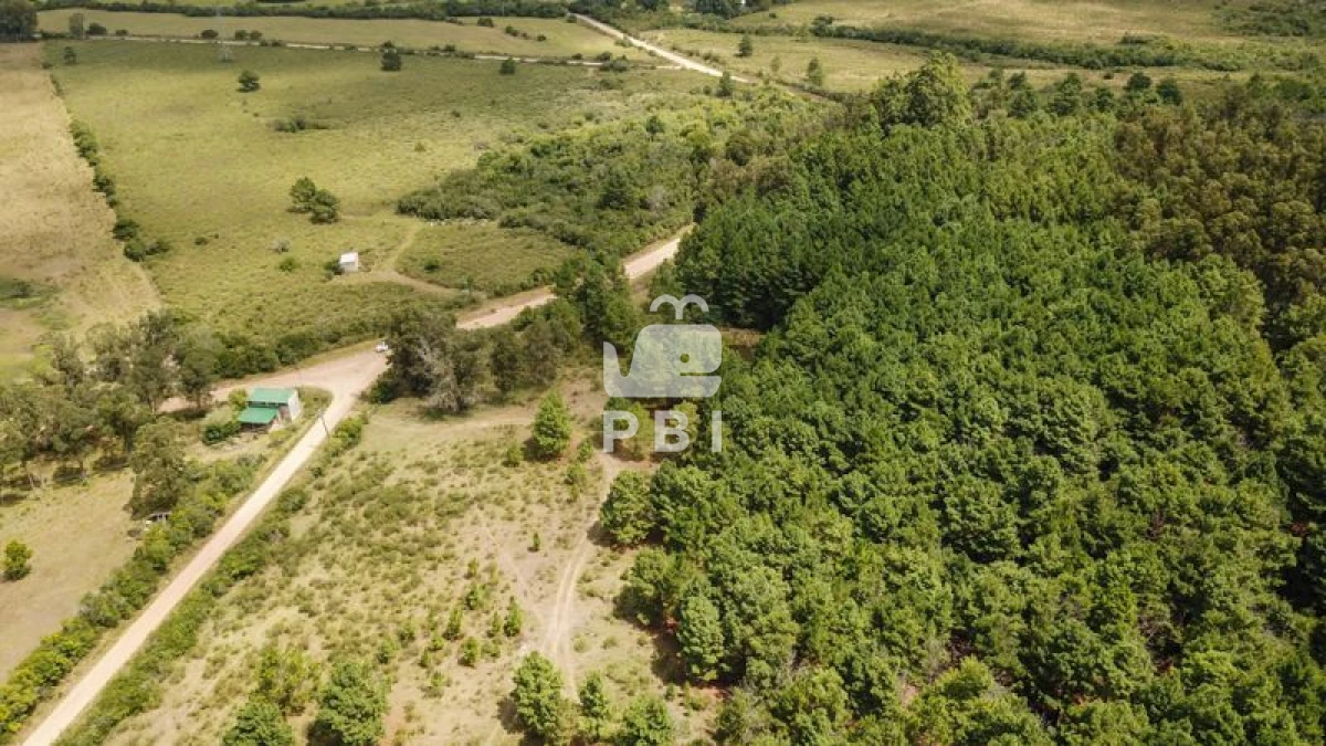 Q2hhY3JhIGVuIHZlbnRhIFB1bnRhIEJhbGxlbmEgIC0gUmVmIDogUEJJMTM0NA==