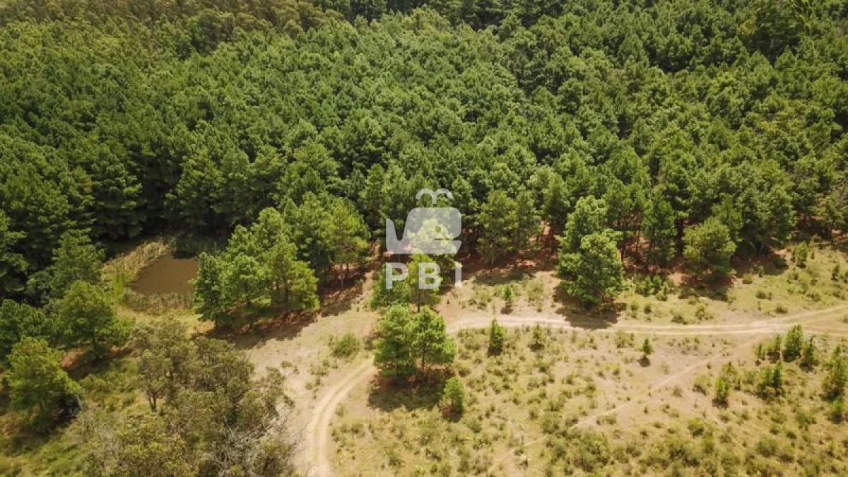 Q2hhY3JhIGVuIHZlbnRhIFB1bnRhIEJhbGxlbmEgIC0gUmVmIDogUEJJMTM0NA==