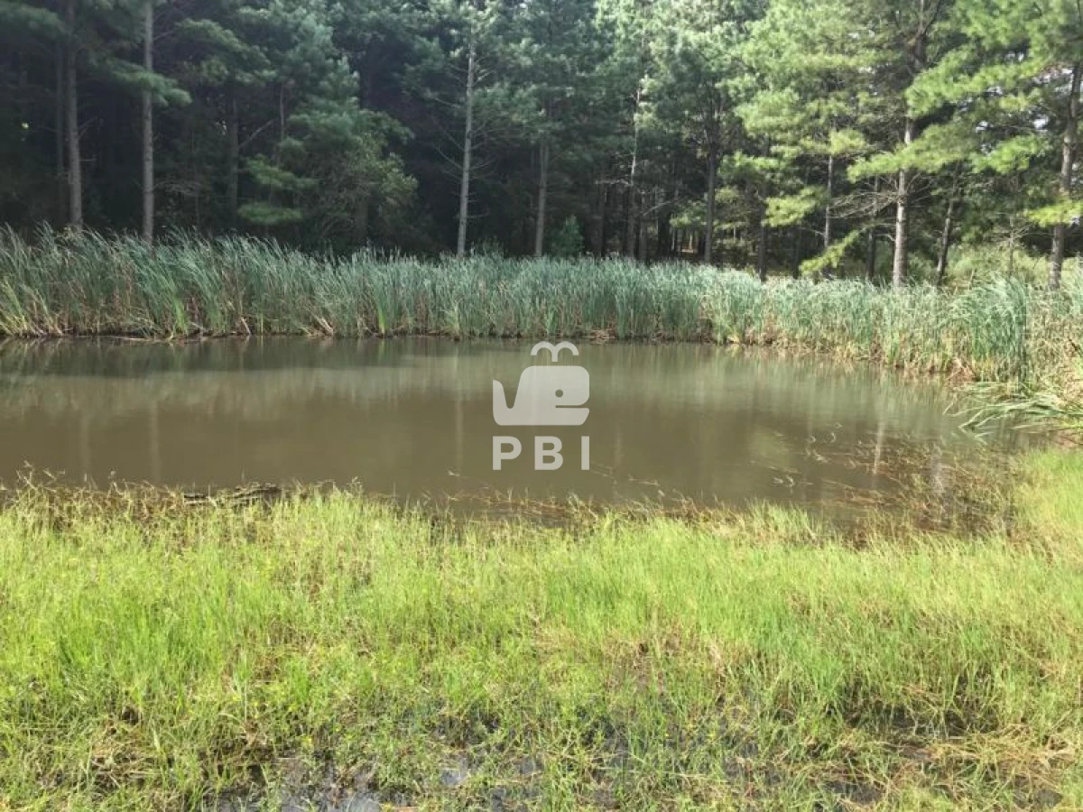 Q2hhY3JhIGVuIHZlbnRhIFB1bnRhIEJhbGxlbmEgIC0gUmVmIDogUEJJMTM0NA==